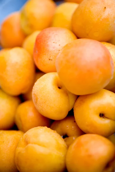 Juicy fresh apricot — Stock Photo, Image
