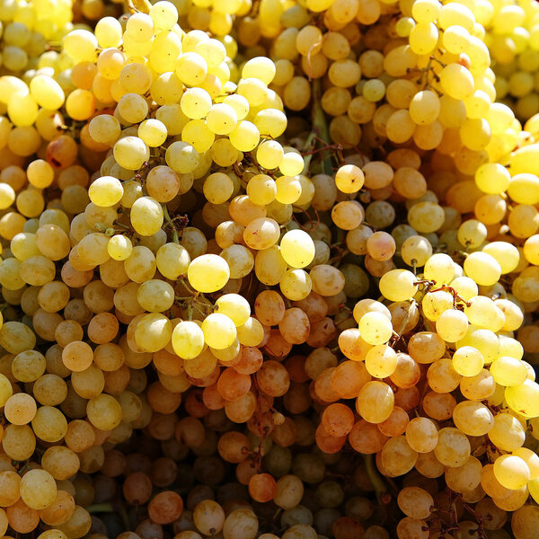 Виноградное скопление
