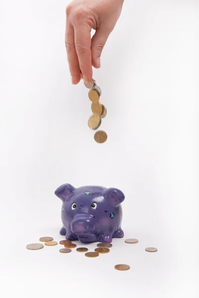 Sparschwein mit Münzen — Stockfoto