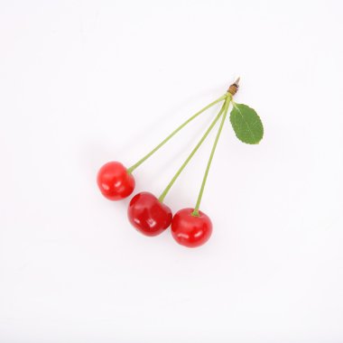 Three cherries on a tree