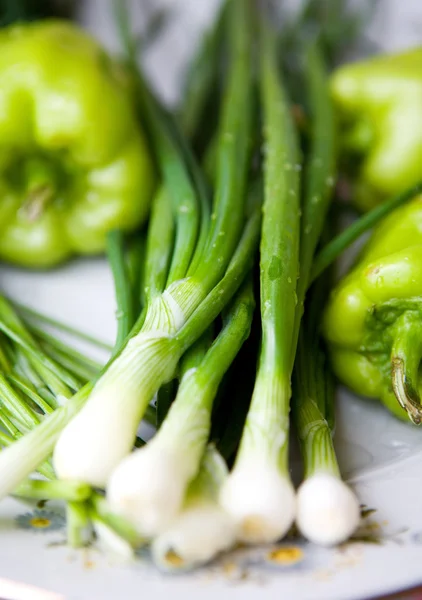 stock image Pepper dill and onion