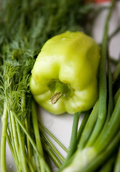 Pepper dill and onion — Stock Photo, Image
