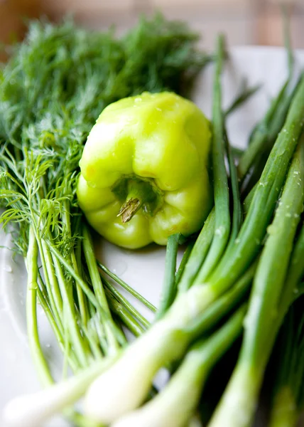 Pepper dill and onion — Stock Photo, Image