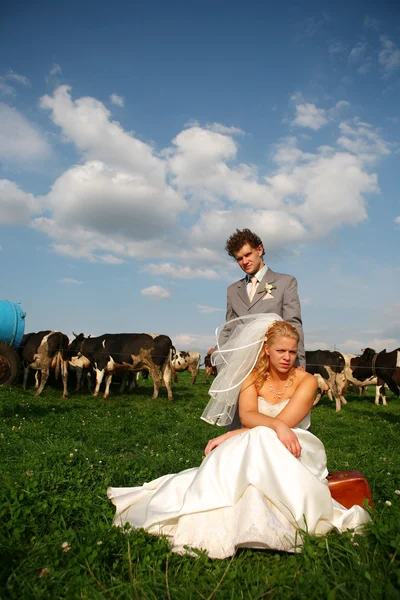 Pasgetrouwden in het veld — Stockfoto