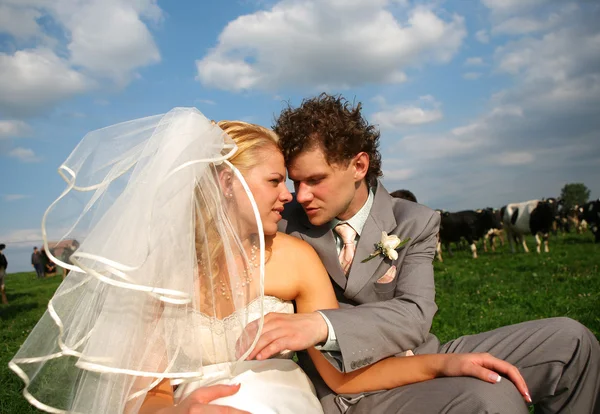 Newlyweds in the field — Stock Photo, Image