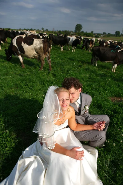 Novomanželé v poli — Stock fotografie