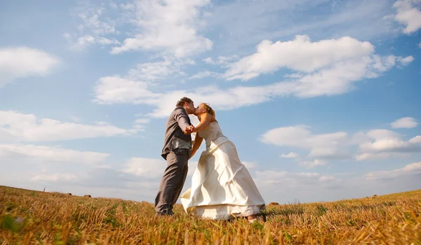Nowożeńcy w polu — Zdjęcie stockowe