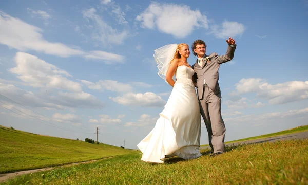Newlyweds in the field — Stock Photo, Image