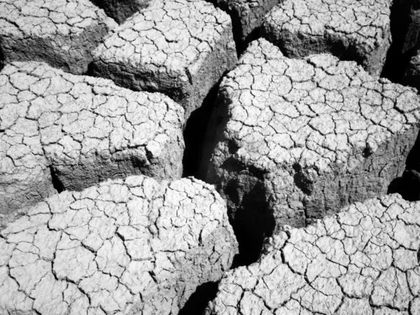 stock image Mud Flats 1