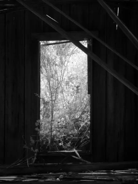 ドアと窓 3 — ストック写真