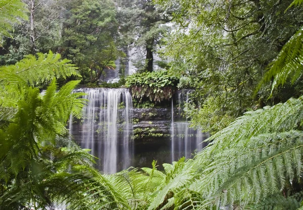 stock image Water fall