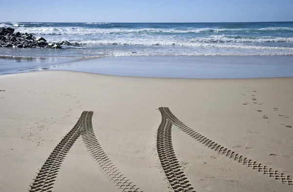 Ślady opon na plaży — Zdjęcie stockowe