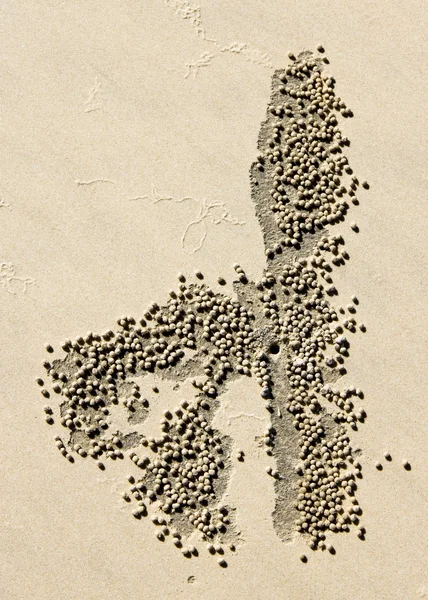 Песчаные крабовые шарики — стоковое фото
