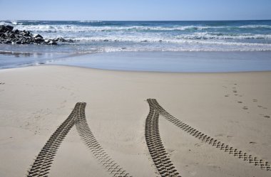 Tyre tracks on beach clipart