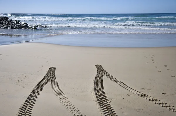 stock image Tyre tracks on beach