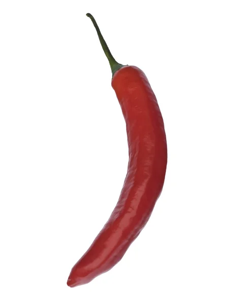 Chili rouge — Photo