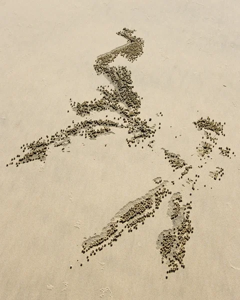 Bolas de caranguejo de areia — Fotografia de Stock