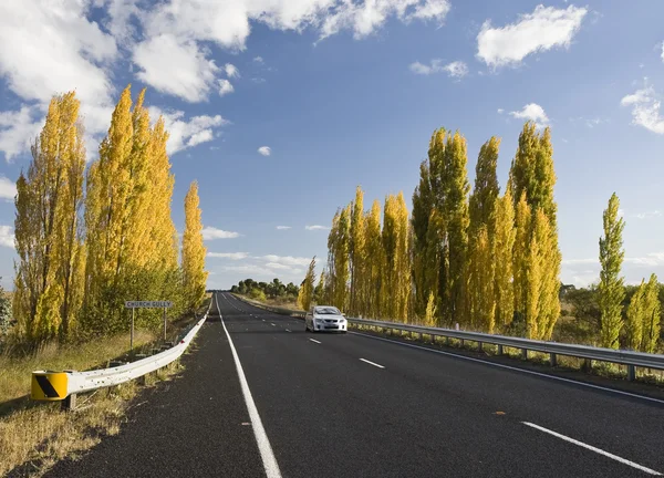 Australian Roads — Stock Photo, Image