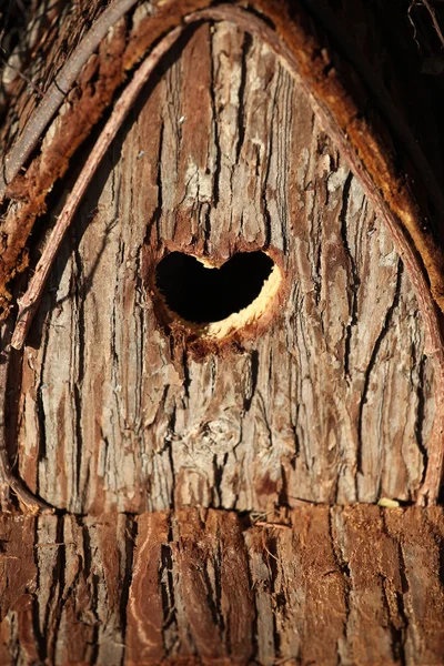 Valentijn birdhouse, — Stockfoto