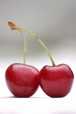 Close-up of mazzard cherry clipart
