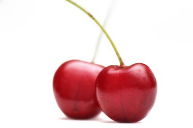 Two red ripe mazzard cherries clipart