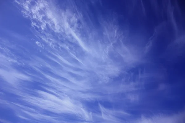 Błękitne niebo plener — Zdjęcie stockowe
