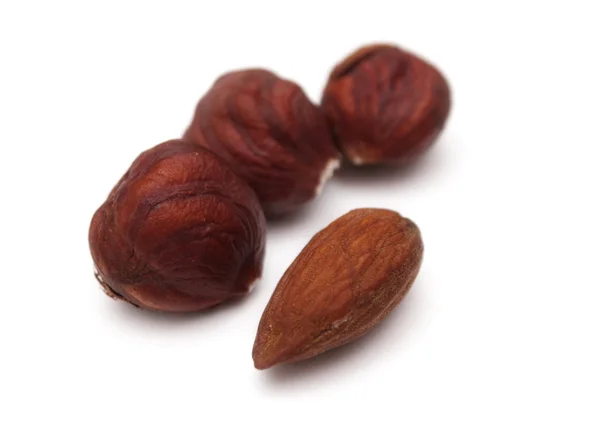 Almond and "Lambert nut" — Stock Photo, Image