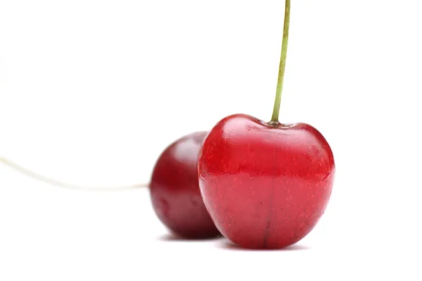Two mazzard cherries — Stock Photo, Image