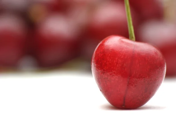 Red mazzard cherry — Stock Photo, Image