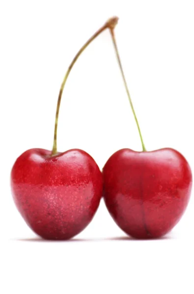 Red ripe mazzard cherry isolated in over — 스톡 사진