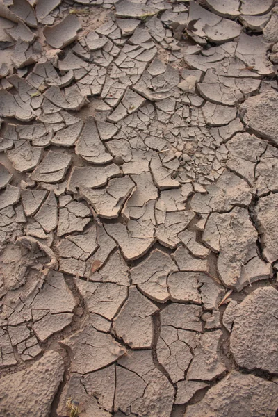 stock image Cracked earth background