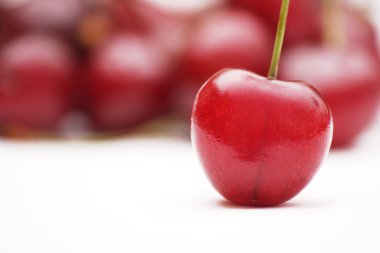 Single mazzard cherry clipart