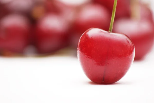 Single mazzard cherry — Stock Photo, Image