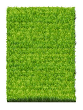 Grass-plot clipart