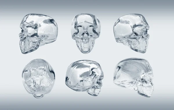 Crâne en verre de nombreuses vue d'angle — Photo