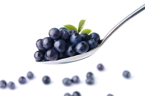 Bilberry. Bilberry spoon for a dessert — Stock Photo, Image