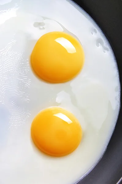 stock image Fried eggs