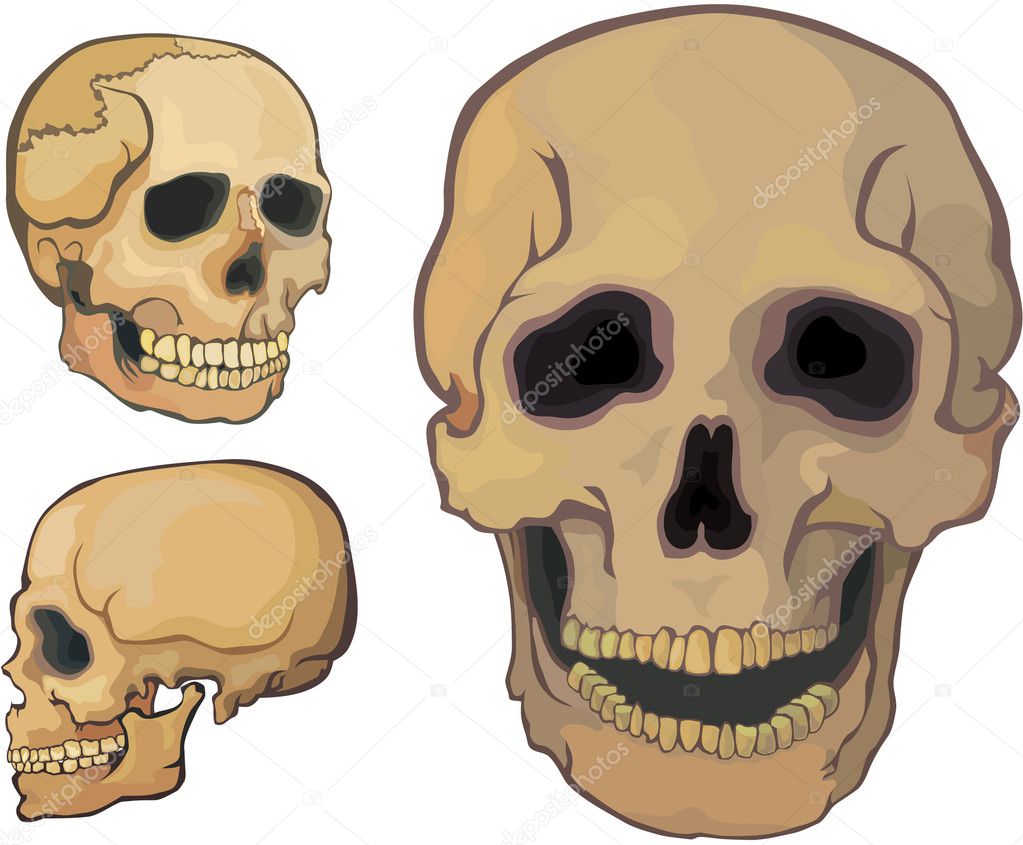download the skulls download the skulls