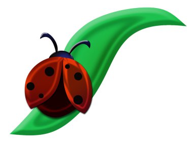 Ladybug clipart