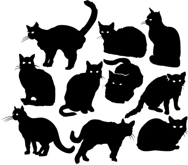 Теневые кошки — стоковый вектор