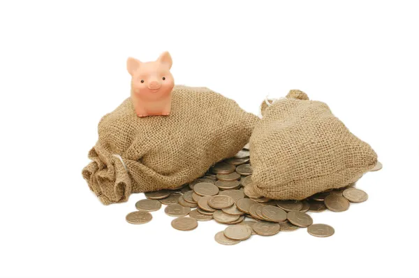 Hračka prase s pytli peněz — Stock fotografie
