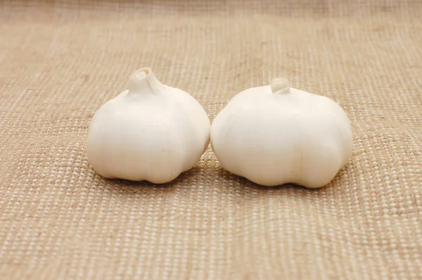 Dvě bílé česneková karafiáty — Stock fotografie