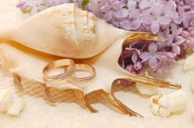 Cockleshell with wedding rings clipart