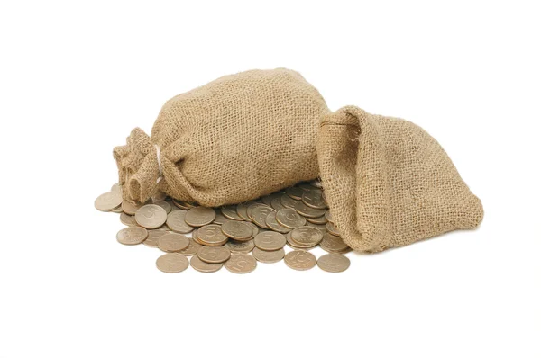 Money coins in bag — Stock Photo, Image
