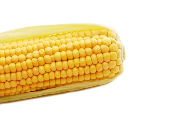 Friskhøstet majs - Stock-foto