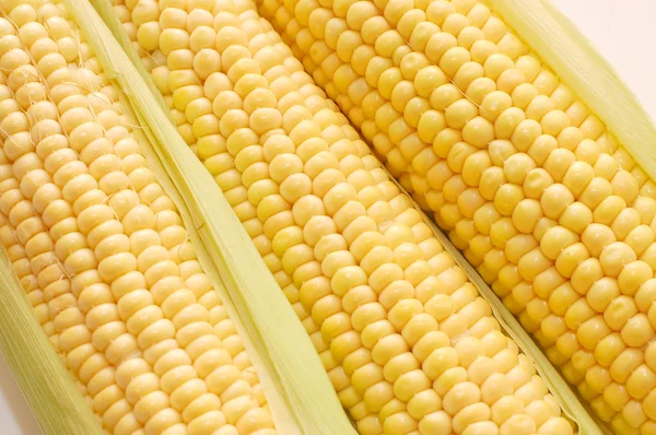 Friskhøstet majs - Stock-foto
