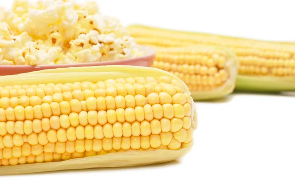 Fresh corn and popcorn — Stock Photo, Image