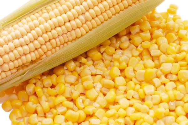 Ucho świeżego zboża i kukurydza w puszce — Zdjęcie stockowe