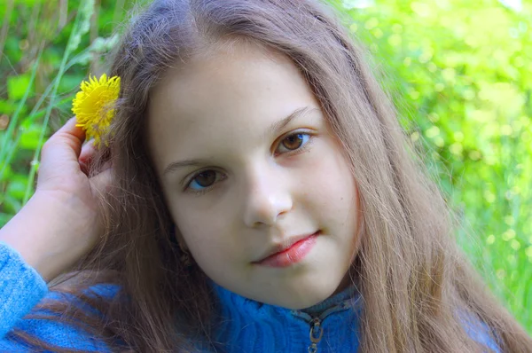 Little girl with wild flowers — Stock Photo, Image
