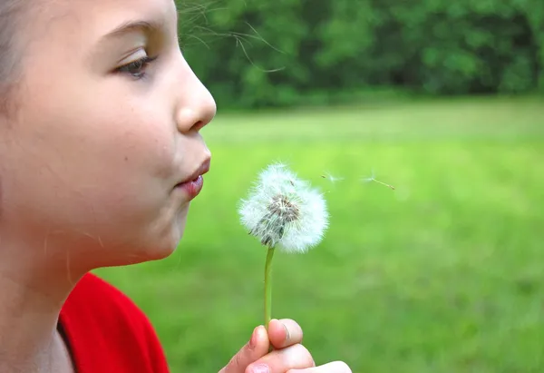 Girl blowing dandelion on a meadow — Stock Photo, Image